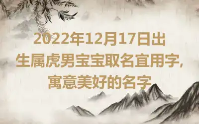 2022年12月17日出生属虎男宝宝取名宜用字,寓意美好的名字