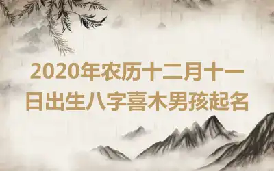 2020年农历十二月十一日出生八字喜木男孩起名