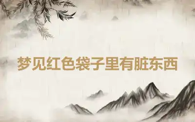 梦见红色袋子里有脏东西