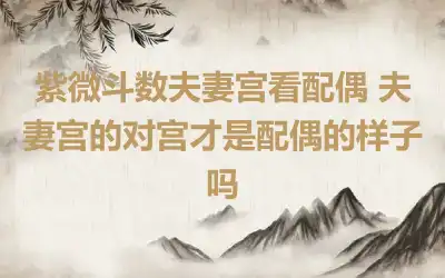 紫微斗数夫妻宫看配偶 夫妻宫的对宫才是配偶的样子吗