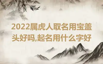 2022属虎人取名用宝盖头好吗,起名用什么字好