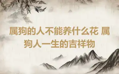 属狗的人不能养什么花 属狗人一生的吉祥物