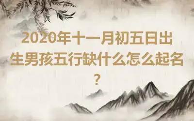 2020年十一月初五日出生男孩五行缺什么怎么起名？