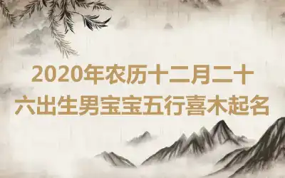 2020年农历十二月二十六出生男宝宝五行喜木起名