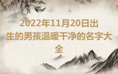 2022年11月20日出生的男孩温暖干净的名字大全