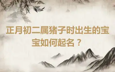 正月初二属猪子时出生的宝宝如何起名？