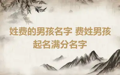 姓费的男孩名字 费姓男孩起名满分名字