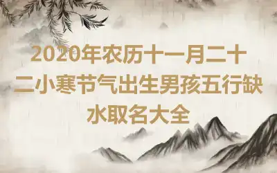 2020年农历十一月二十二小寒节气出生男孩五行缺水取名大全