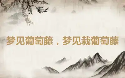 梦见葡萄藤，梦见栽葡萄藤