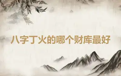 八字丁火的哪个财库最好