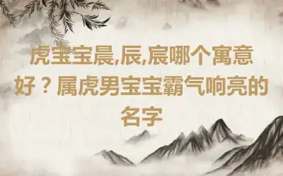 虎宝宝晨,辰,宸哪个寓意好？属虎男宝宝霸气响亮的名字