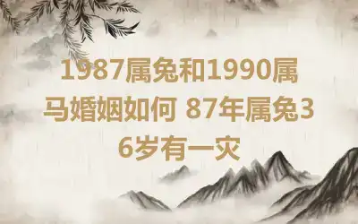 1987年10月出生的属兔人一生婚姻如何，2019属兔人的运势如何？