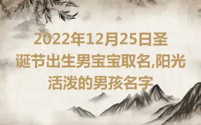 2022年12月25日圣诞节出生男宝宝取名,阳光活泼的男孩名字