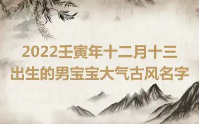 2022壬寅年十二月十三出生的男宝宝大气古风名字