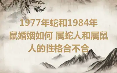 1977年蛇和1984年鼠婚姻如何 属蛇人和属鼠人的性格合不合