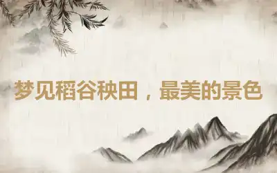 梦见稻谷秧田，最美的景色