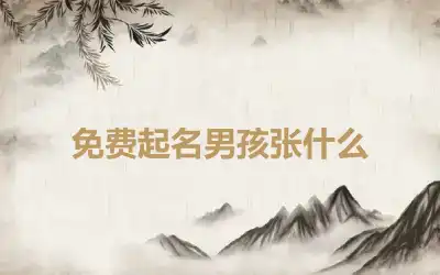 免费起名男孩张什么