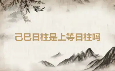 己巳日柱是上等日柱吗