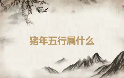 猪年五行属什么