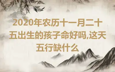 2020年农历十一月二十五出生的孩子命好吗,这天五行缺什么