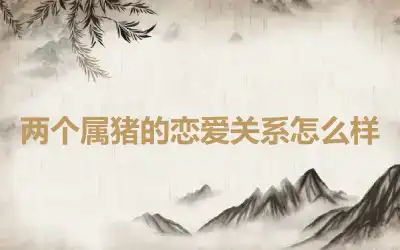 两个属猪的恋爱关系怎么样