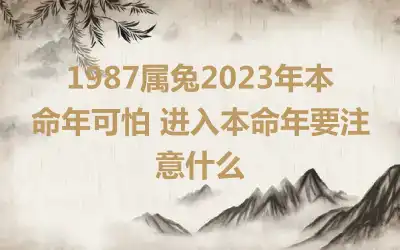 1987属兔2023年本命年可怕 进入本命年要注意什么