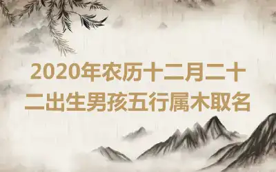 2020年农历十二月二十二出生男孩五行属木取名