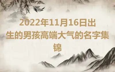 2022年11月16日出生的男孩高端大气的名字集锦