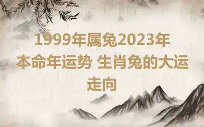 1999年属兔2023年本命年运势 生肖兔的大运走向