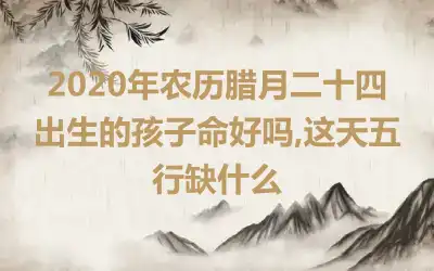 2020年农历腊月二十四出生的孩子命好吗,这天五行缺什么