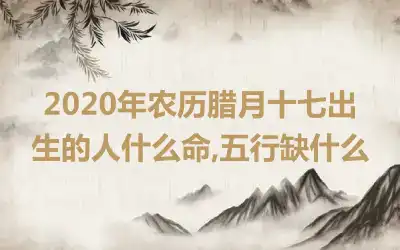 2020年农历腊月十七出生的人什么命,五行缺什么