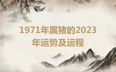 1971年属猪的2023年运势及运程