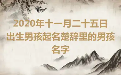 2020年十一月二十五日出生男孩起名楚辞里的男孩名字