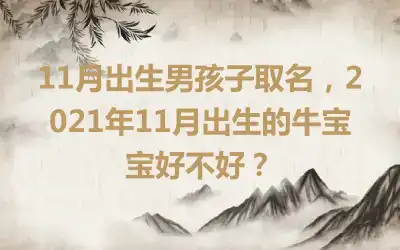 11月出生男孩子取名，2021年11月出生的牛宝宝好不好？