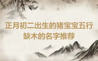 正月初二出生的猪宝宝五行缺木的名字推荐