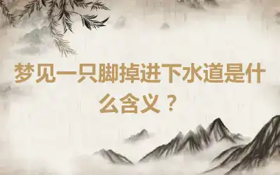 梦见一只脚掉进下水道是什么含义？