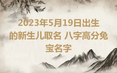 2023年5月19日出生的新生儿取名 八字高分兔宝名字