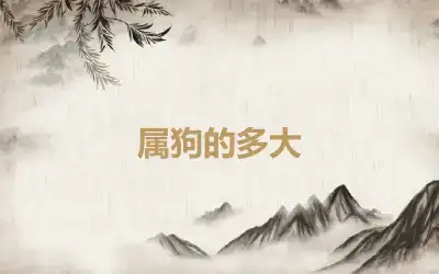 属狗的多大