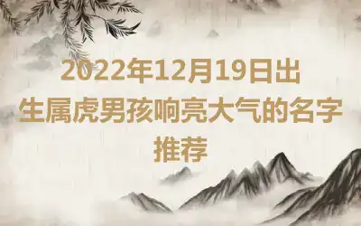 2022年12月19日出生属虎男孩响亮大气的名字推荐