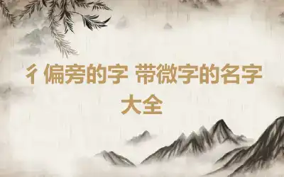 彳偏旁的字 带微字的名字大全