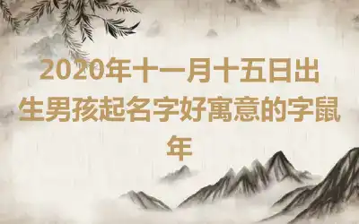 2020年十一月十五日出生男孩起名字好寓意的字鼠年