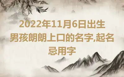 2022年11月6日出生男孩朗朗上口的名字,起名忌用字