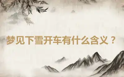 梦见下雪开车有什么含义？