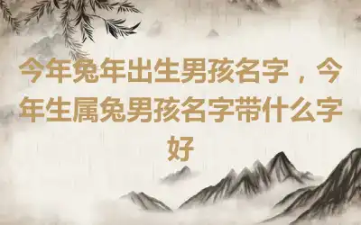 今年兔年出生男孩名字，今年生属兔男孩名字带什么字好