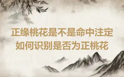 正缘桃花是不是命中注定 如何识别是否为正桃花