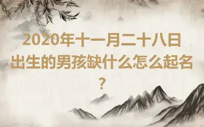 2020年十一月二十八日出生的男孩缺什么怎么起名？