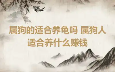 属狗的适合养龟吗 属狗人适合养什么赚钱