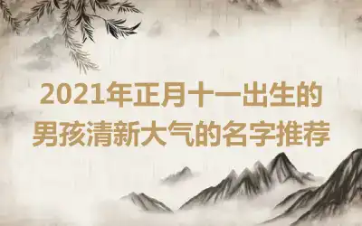 2021年正月十一出生的男孩清新大气的名字推荐