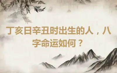 丁亥日辛丑时出生的人，八字命运如何？