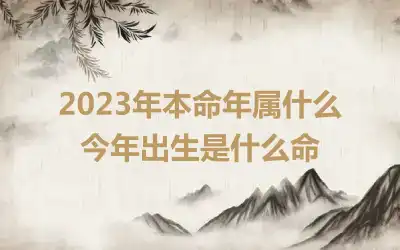 2023年本命年属什么 今年出生是什么命